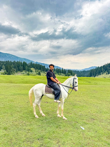 Gulmarg alpine meadows for horse and pony riding
