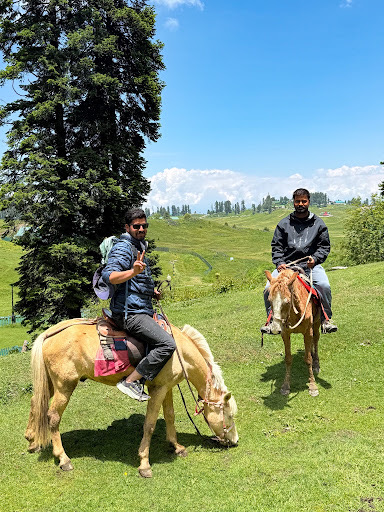 Horse riding in Gulmarg meadows